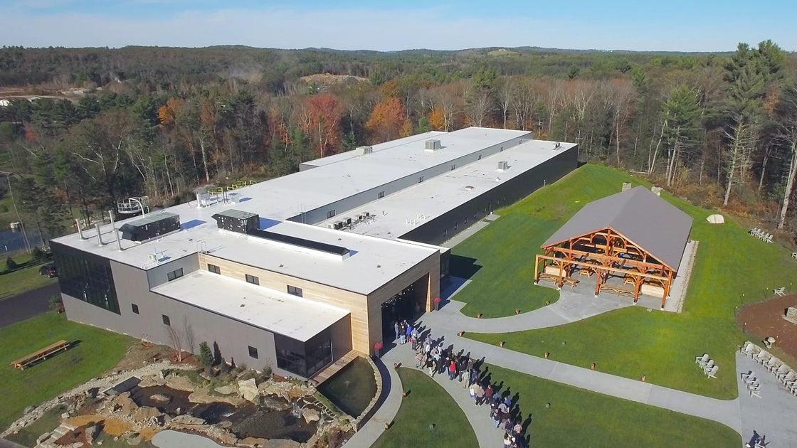 Exploring the Unique World of Tree House Brewery