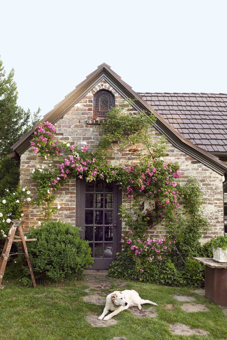 Embracing the Charm of Cottagecore: Creating Your Dream Cottagecore House