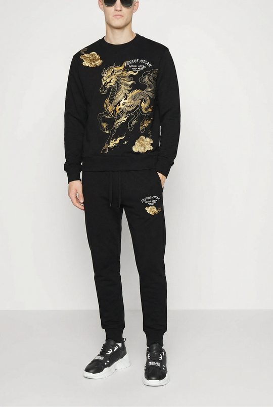FesFas golden horse-print Sweatshirt Set | Black | Men