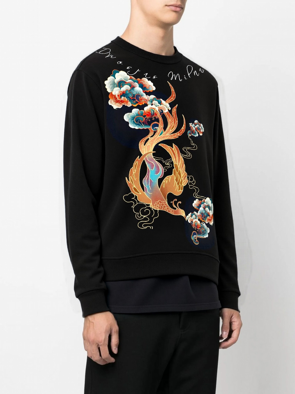 FesFas Phoenix-print Sweatshirt | Black | Men