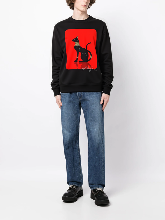 FesFas Sphynx-print Sweatshirt | Black | Men