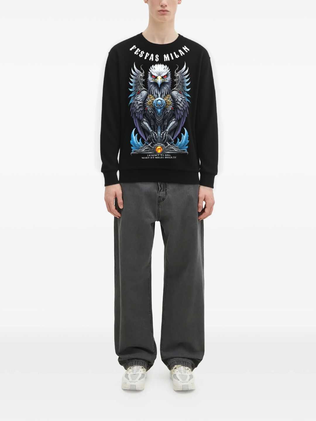 FesFas Eagle-print Sweatshirt | Black | Men