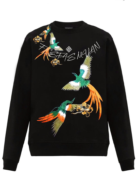 FesFas Phoenix-print Sweatshirt | Black | Men
